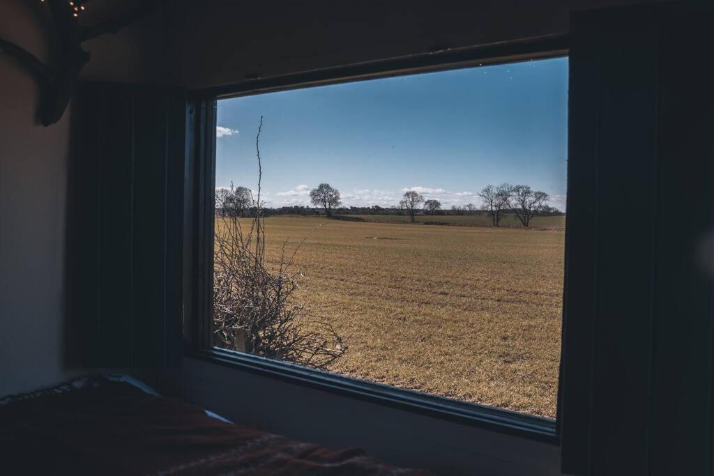 'Pipistrelle' Remote Off-Grid Micro Cabin Vila Sedgefield Exterior foto