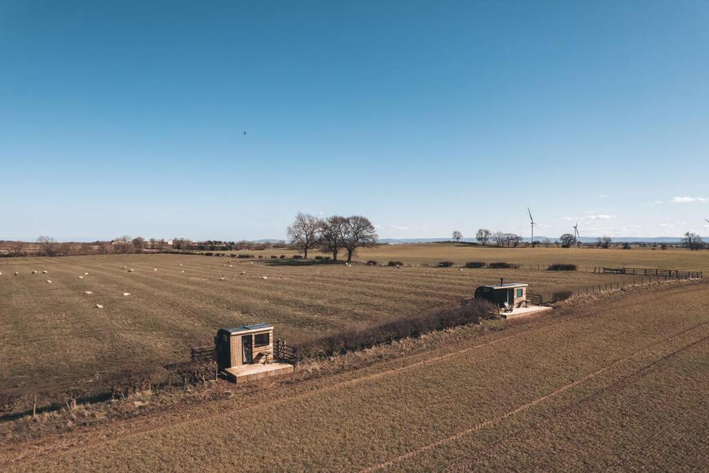 'Pipistrelle' Remote Off-Grid Micro Cabin Vila Sedgefield Exterior foto